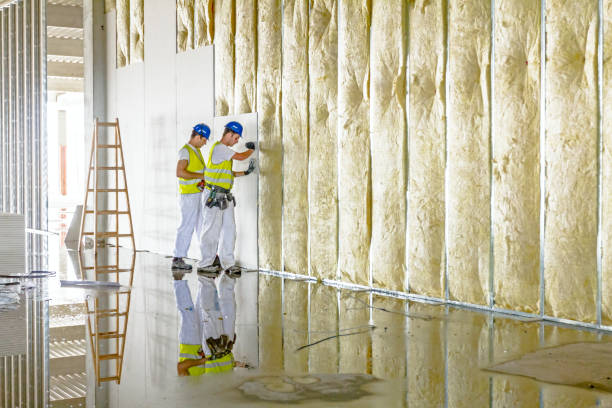 Best Insulation Installation Services in Cutlerville, MI